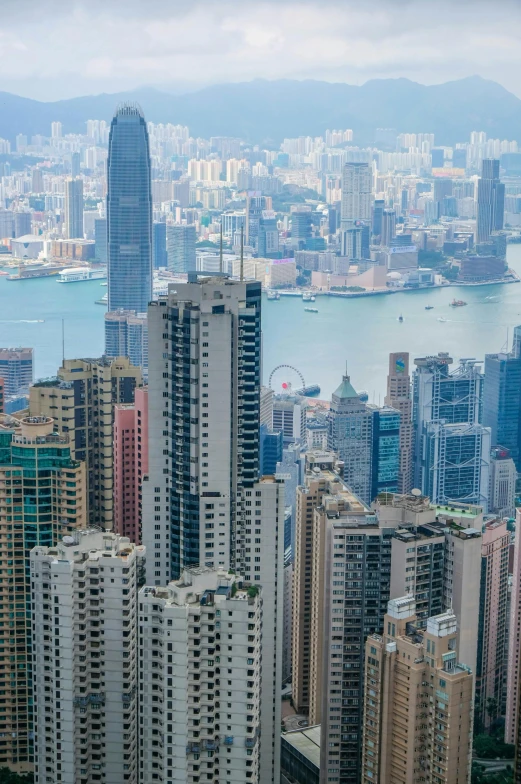 a view of a city from the top of a building, hong kong buildings, zoomed out to show entire image, slide show, no crop