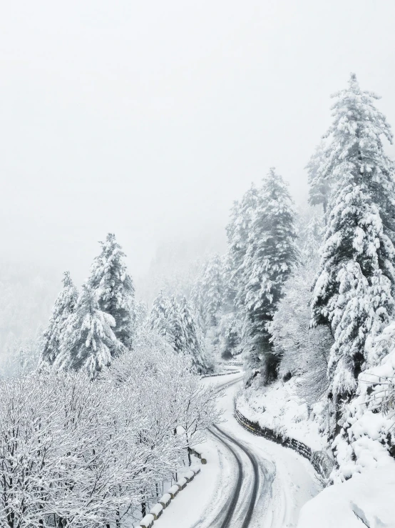 a snowy road in the middle of a forest, pexels contest winner, tochigi prefecture, 2 5 6 x 2 5 6 pixels, evergreen valley, grey