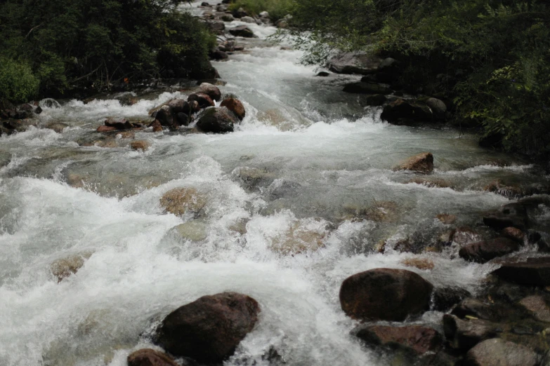 a river running through a lush green forest, an album cover, unsplash, hurufiyya, sichuan, rushing water, low quality photo, thumbnail