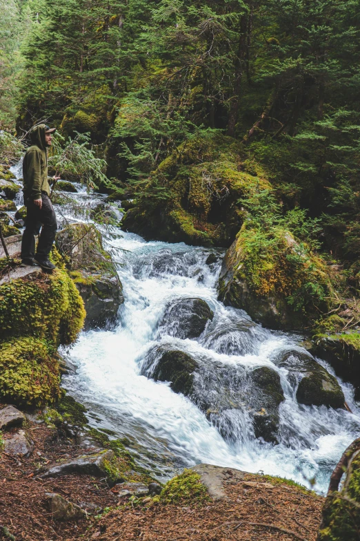 a man standing on top of a rock next to a river, lush mossy canyon, running water, instagram post, pacific northwest coast