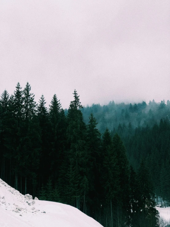 a man riding a snowboard down a snow covered slope, inspired by Elsa Bleda, pexels contest winner, romanticism, forest with trees with faces, green smoggy sky, gloomy skies, ((trees))