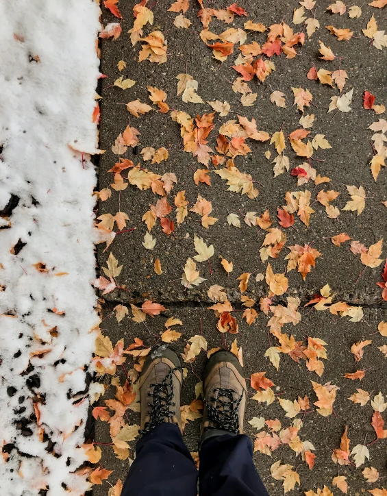 a person standing on a sidewalk covered in leaves, ground covered with snow, fall leaves on the floor, profile image, multiple stories