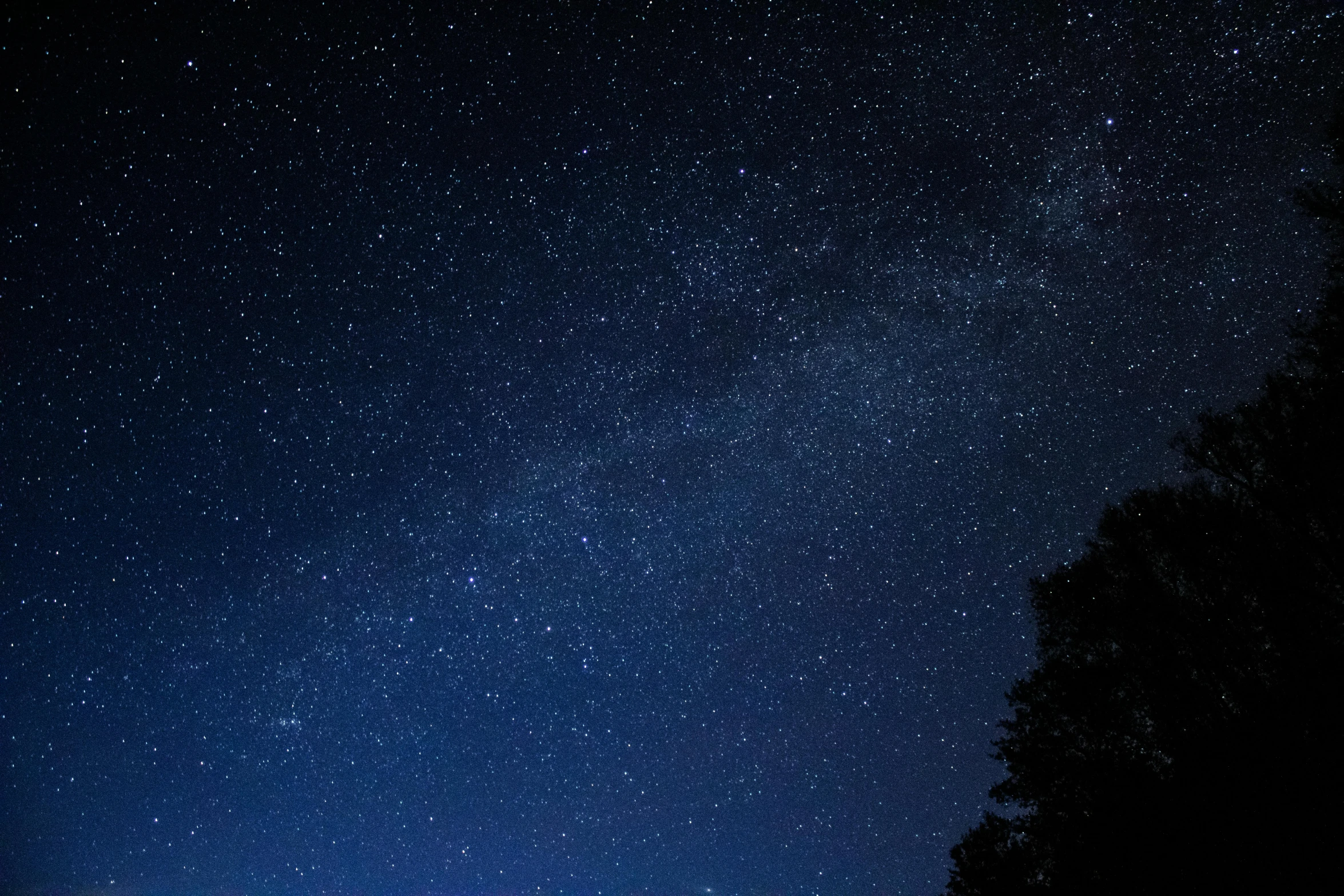 a night sky filled with lots of stars, by Niko Henrichon, pexels, the milk way up above, night. by greg rutkowski, stars and paisley filled sky, ash thorp