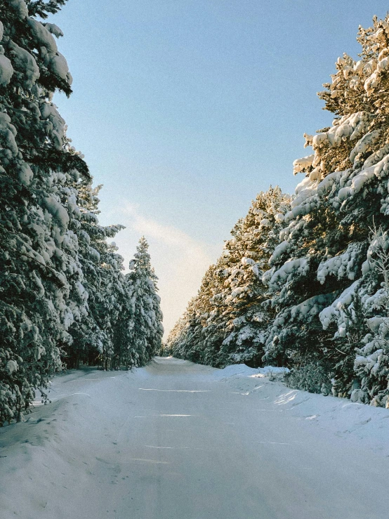 a man riding a snowboard down a snow covered road, tall pine trees, arrendajo in avila pinewood, slide show, thumbnail