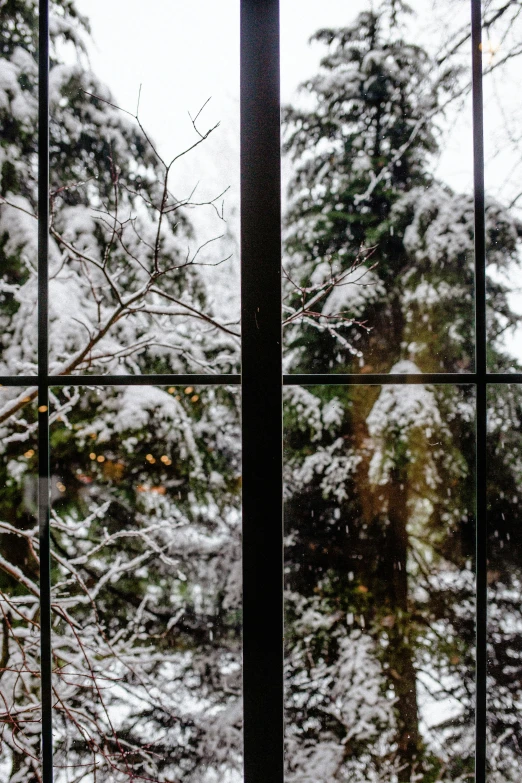 a view of a snowy forest through a window, steel window mullions, whistler, up close image, multiple stories