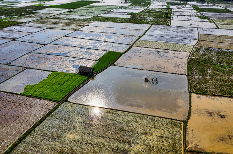 an aerial view of a flooded rice field, a picture, unsplash contest winner, patches of sky, thumbnail, myanmar, on ground