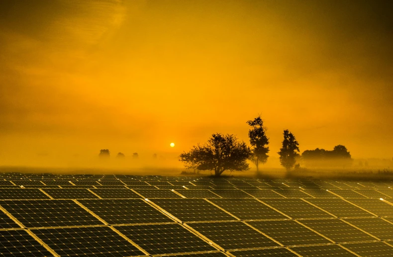 a field of solar panels on a foggy day, pexels contest winner, nuclear sunset, yellow and green, viral photo, gold