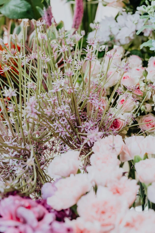 a close up of a bunch of flowers, photograph of enchanted garden, pale pink grass, flower shop scene, commercially ready