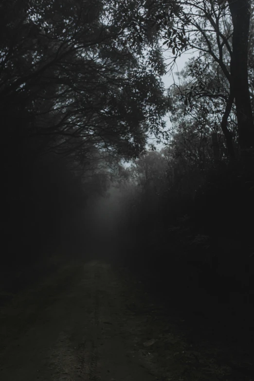 a dark road surrounded by trees on a foggy day, barely visible from the shadows, dark hallways, fog and dirt, a dark