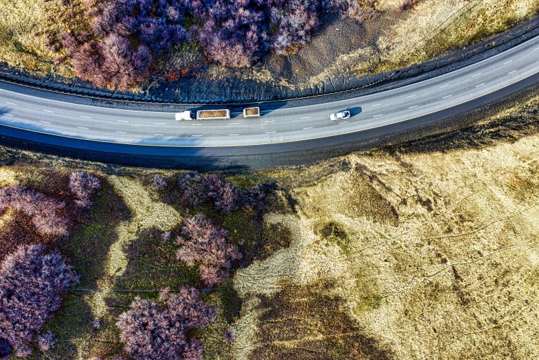 a car driving down a winding road in the middle of a field, by Lee Loughridge, unsplash contest winner, trucks, airborne view, flowers, reza afshar