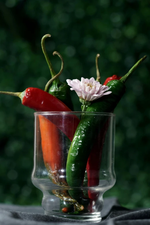 a glass filled with hot peppers sitting on top of a table, inspired by Raúl Martínez, flower buds, pickle, award winning, mix