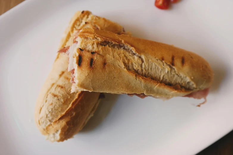 a close up of a sandwich on a plate, a picture, unsplash, renaissance, baking french baguette, background image, mangeta smoke red light, wide high angle view