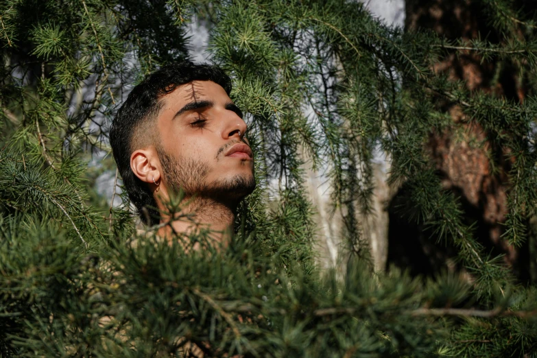 a man looking up through the branches of a tree, an album cover, by Ismail Acar, trending on pexels, hurufiyya, young man with beautiful face, middle eastern skin, evergreen, profile picture 1024px