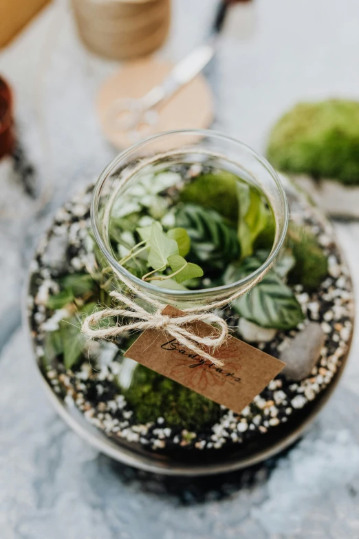 a glass jar filled with plants on top of a table, inspired by Eden Box, overview, gifts, mini lake, urban jungle