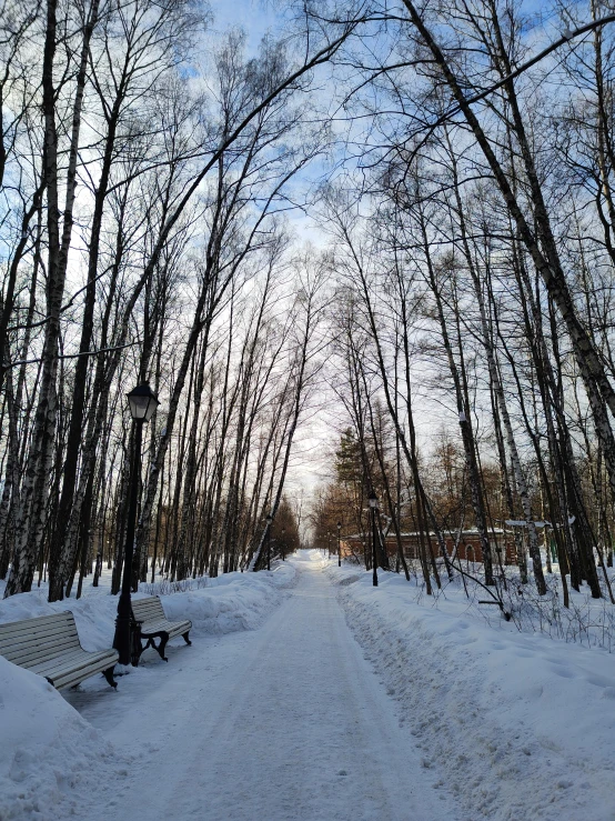 a bench sitting in the middle of a snow covered park, inspired by Ivan Shishkin, pexels contest winner, road between tall trees, ground level view of soviet town, today\'s featured photograph 4k, birch