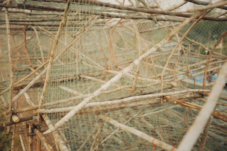 a bird that is sitting in a cage, an album cover, inspired by Chiharu Shiota, unsplash, land art, fish skin, made of bamboo, ignant, sustainable materials