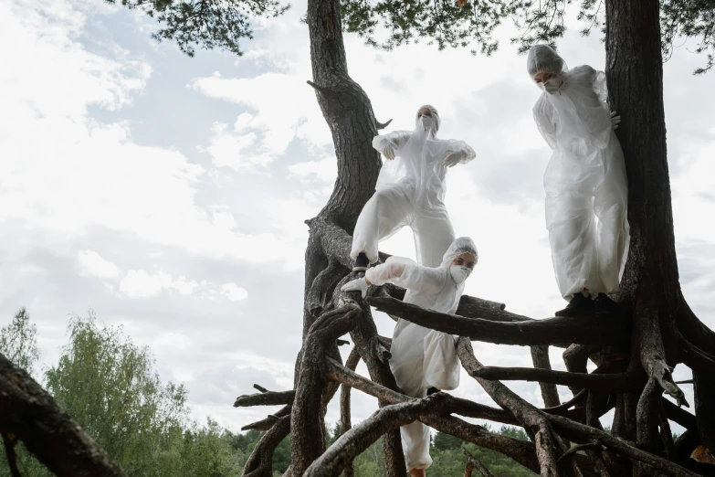 a group of people standing on top of a tree, by Marina Abramović, unsplash, environmental art, staff wearing hazmat suits, white wood, picnic, close-up photo