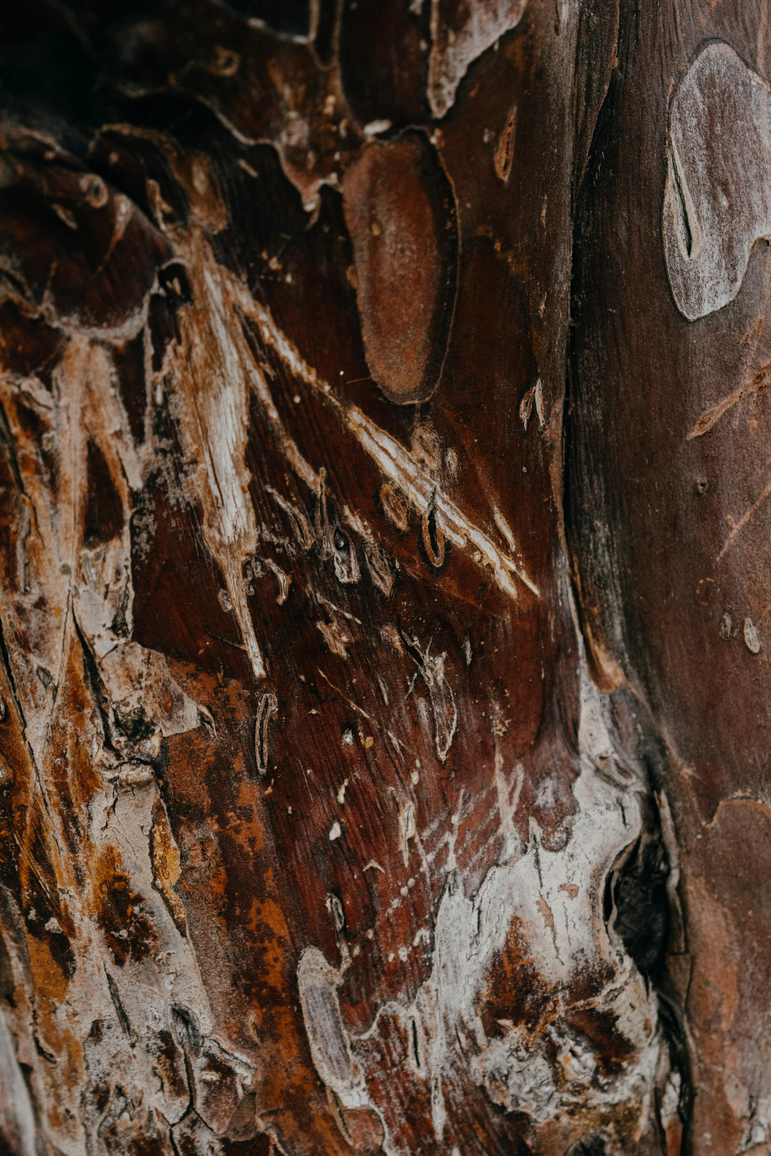 a close up of a piece of wood with paint on it, by artist, trending on pexels, lyrical abstraction, cave crystals, wearing a worn out brown suit, baobab tree, dark tone