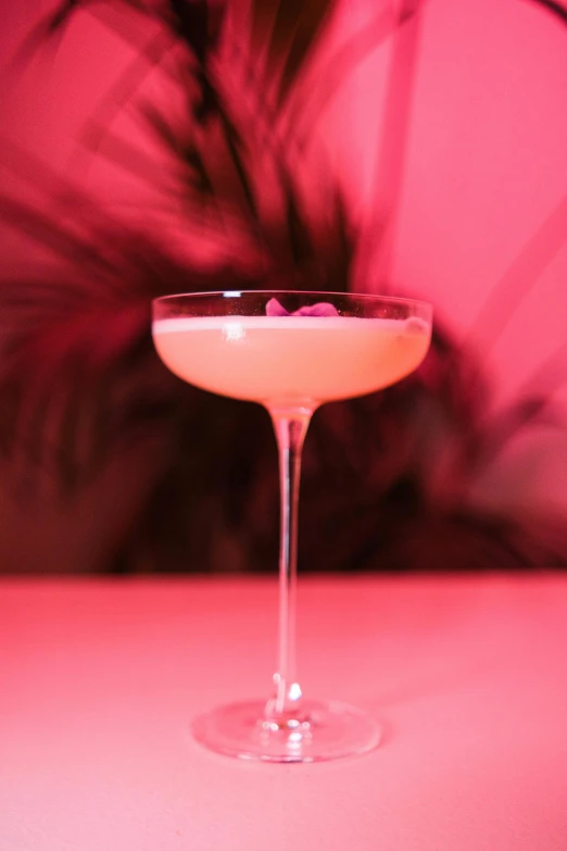 a cocktail sitting on top of a table under a pink umbrella, inspired by Carlo Martini, renaissance, brightly lit pink room, intoxicatingly blurry, jasmine, palm