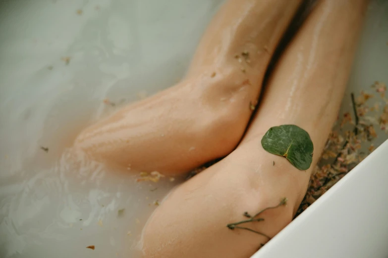 a close up of two hot dogs in a tub, by Elsa Bleda, trending on pexels, renaissance, limbs made from vines, poison ivy, close-up on legs, eucalyptus