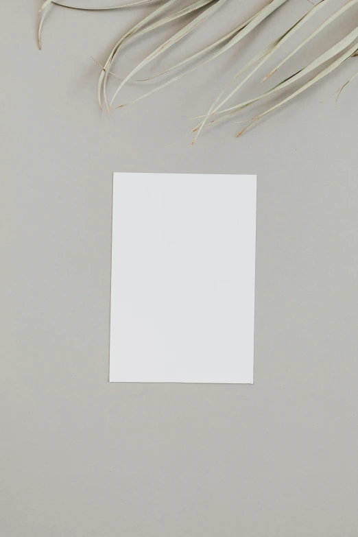 a piece of paper sitting on top of a table, postminimalism, titanium white, full card design, rectangle, plain