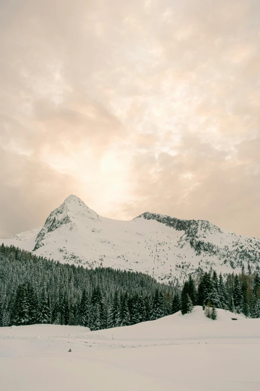 a man riding skis down a snow covered slope, a photo, unsplash contest winner, minimalism, mountain forest in background, during dawn, big sky, brown