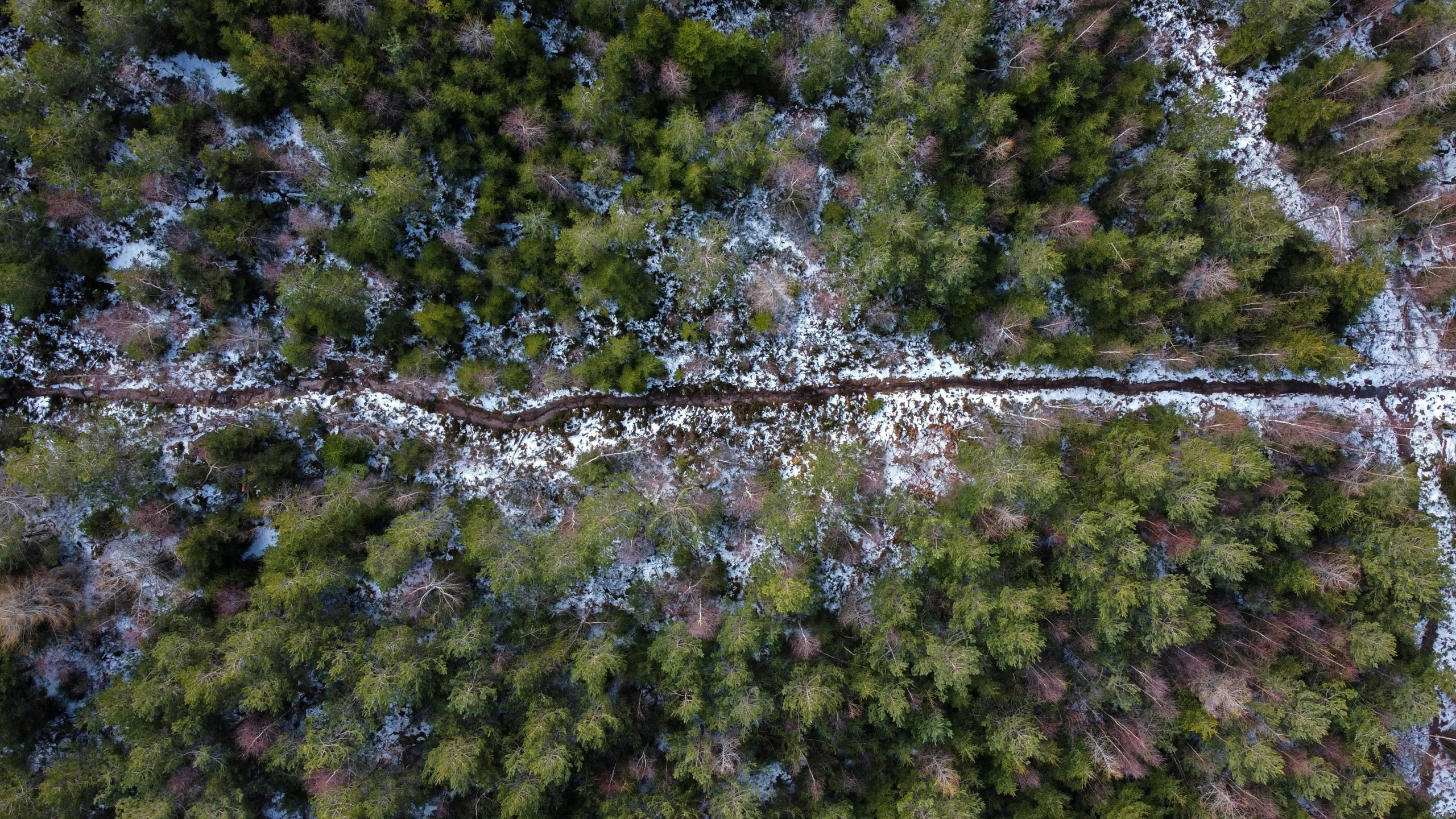 an aerial view of a road in the middle of a forest, by Adam Marczyński, pexels contest winner, land art, spring winter nature melted snow, merging with tree in a forest, real-life brook, perspective from below