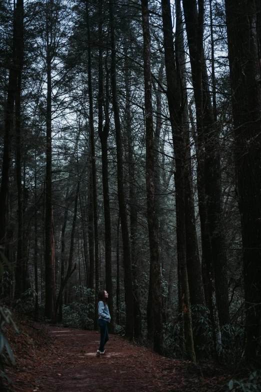 a person standing in the middle of a forest, in the dark, grey, photograph, ((trees))