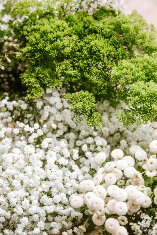 a bouquet of white and green flowers on a table, inspired by Childe Hassam, trending on unsplash, trees and bushes, detail shot, botanical fractal structures, field of mixed flowers