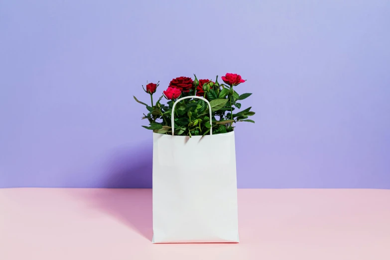 a white paper bag with red roses in it, pexels contest winner, purple and scarlet colours, minimal pink palette, miniature product photo, no - text no - logo