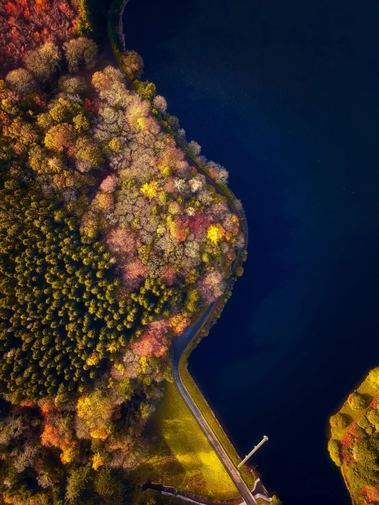 an aerial view of a lake surrounded by trees, by Sebastian Spreng, pexels contest winner, colorful trees, wales, high light on the left, cinematic shot ar 9:16 -n 6 -g