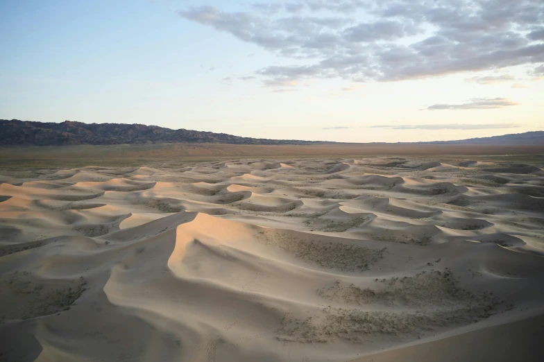 a desert with sand dunes and mountains in the background, unsplash contest winner, land art, ancient mongolian elon musk, inlets, organic rippling spirals, photo from the dig site