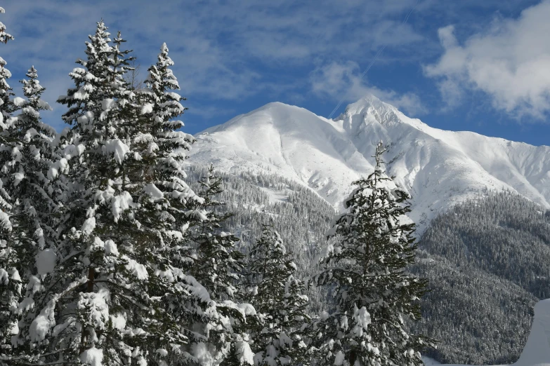 a man riding skis down a snow covered slope, a photo, cannon snow covered trees, profile image, two mountains in background, atlach - nacha