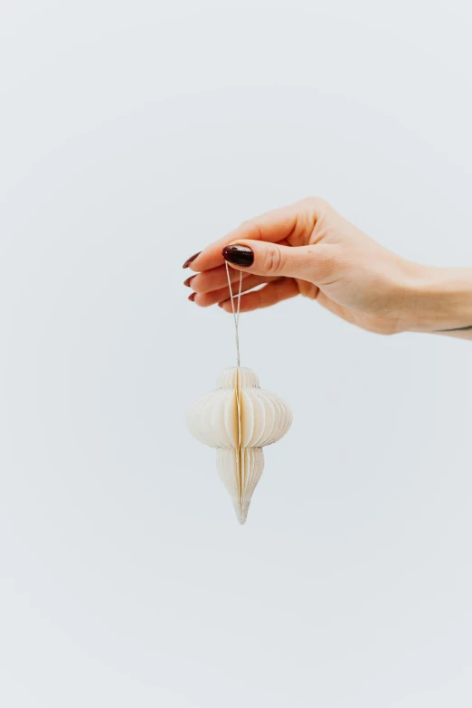 a close up of a person holding a string, pointy shell, tissue ornament, clean minimalist design, lumi