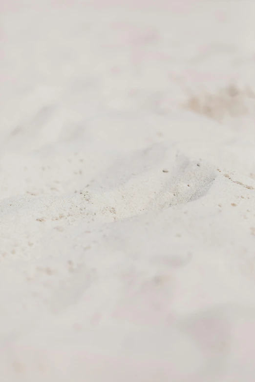 a small bird standing on top of a sandy beach, pale white detailed reptile skin, covered in white flour, fingerprints on clay, carribean white sand