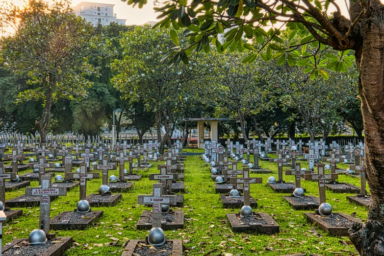 a cemetery filled with lots of tombstones and trees, a photo, lim chuan shin, rows of canteen in background, 2 0 2 2 photo