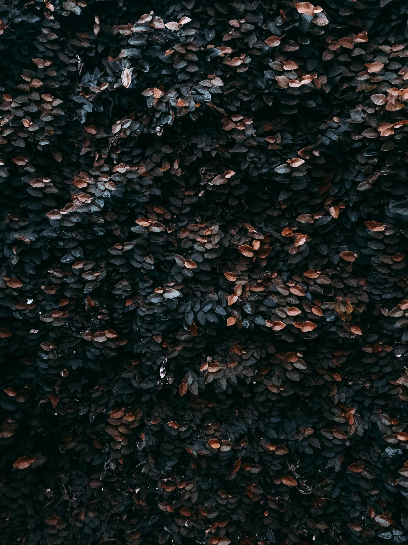 a red fire hydrant sitting on top of a lush green field, an album cover, by Alejandro Obregón, trending on unsplash, hurufiyya, fish scales, black and terracotta, made of leaves, midnight color palette