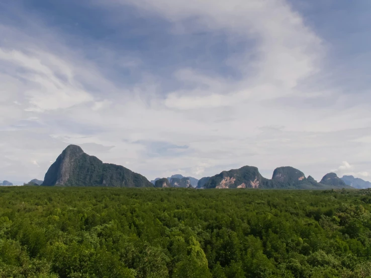 a forest filled with lots of green trees, pexels contest winner, sumatraism, karst landscape ; wide shot, blue sky, thailand, view from helicopter