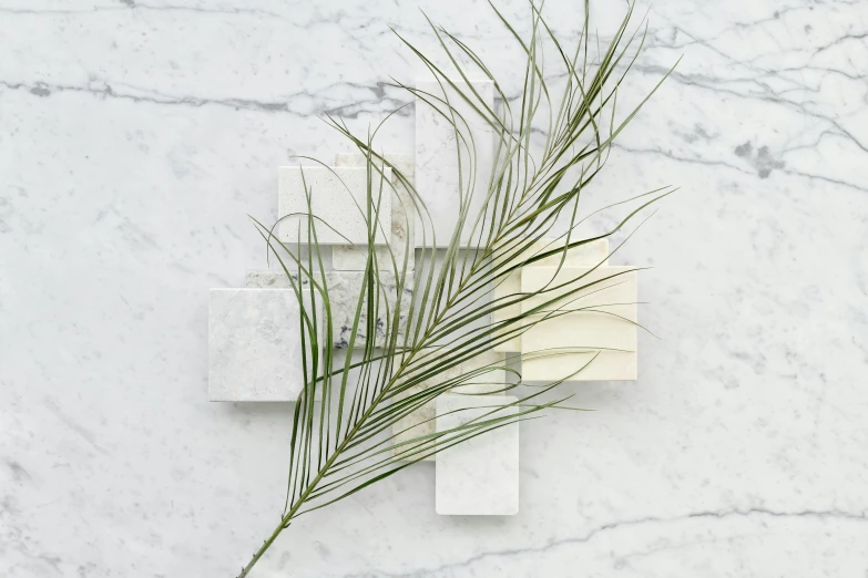 a close up of a plant on a marble surface, a marble sculpture, inspired by Exekias, bauhaus, squares, made of carrara marble, blade of grass, cross composition