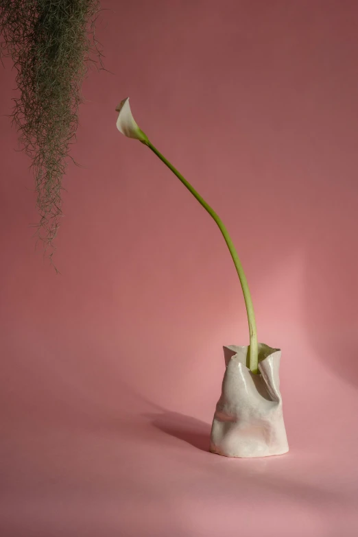 a white vase with a single flower in it, inspired by Carpoforo Tencalla, faded pink, contorted, tall, lily