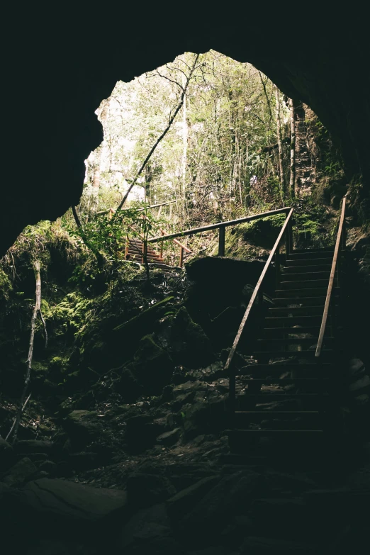 a light at the end of a tunnel in a forest, by Jessie Algie, unsplash contest winner, entrance to 1900's mine, plants inside cave, tamborine, coming down the stairs