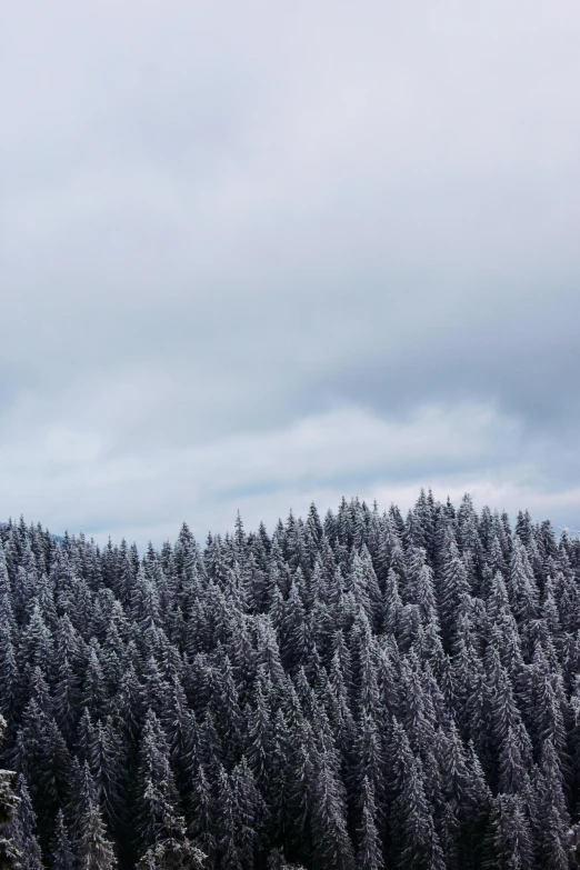 a man flying through the air while riding a snowboard, by Adam Szentpétery, trending on unsplash, sparse pine trees, panorama, distant clouds, crystalized