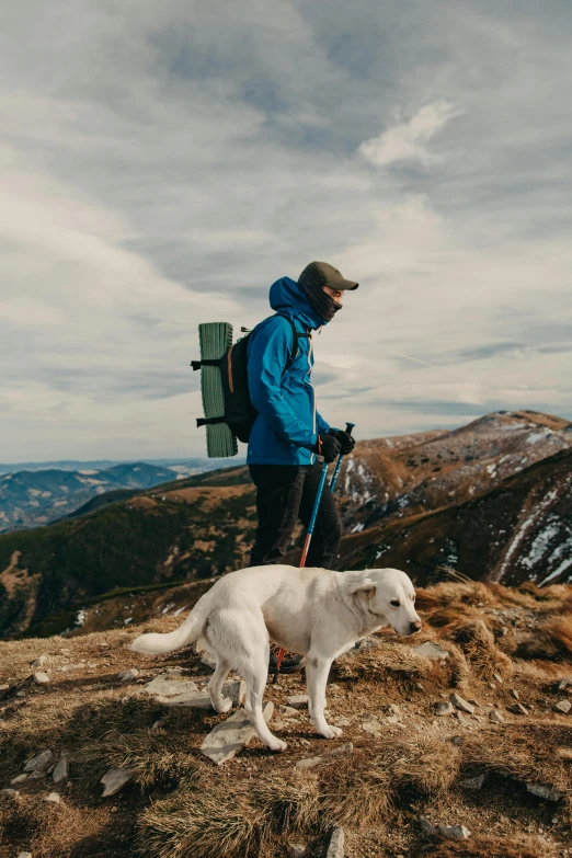 a man standing on top of a mountain with a dog, wearing adventure gear, janusz jurek, al fresco, thumbnail