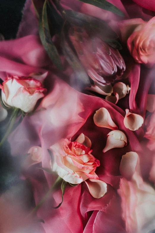 a close up of a bunch of flowers, inspired by Anna Füssli, romanticism, flowing silk sheets, rose petals, red - toned mist, tulips