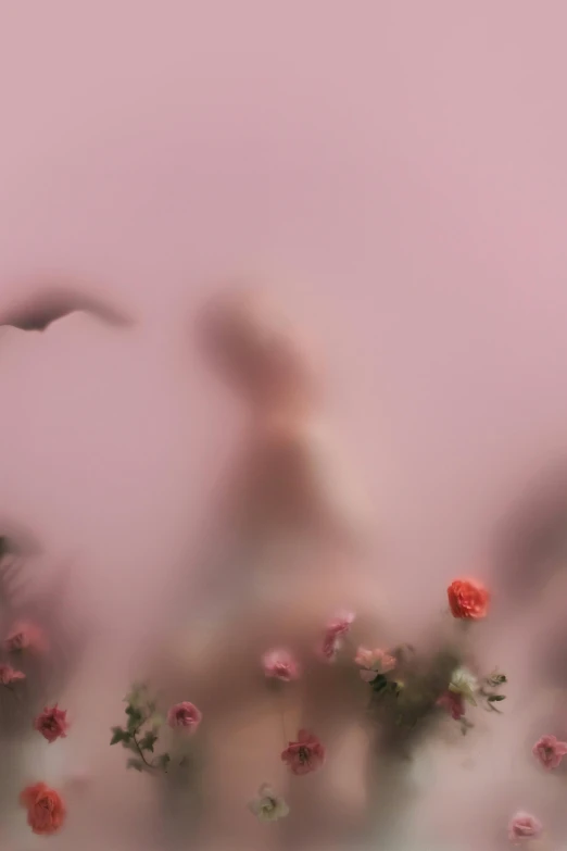 a group of birds flying over a field of flowers, inspired by Anna Füssli, unsplash contest winner, romanticism, ghostly figure, pink smoke, detail shot, petra cortright
