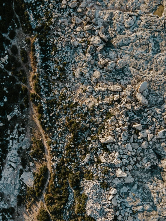 a group of sheep standing on top of a rocky hillside, by Alexis Grimou, pexels contest winner, aerial view cinestill 800t 18mm, detail shots, over a calanque, rocky ground with a dirt path