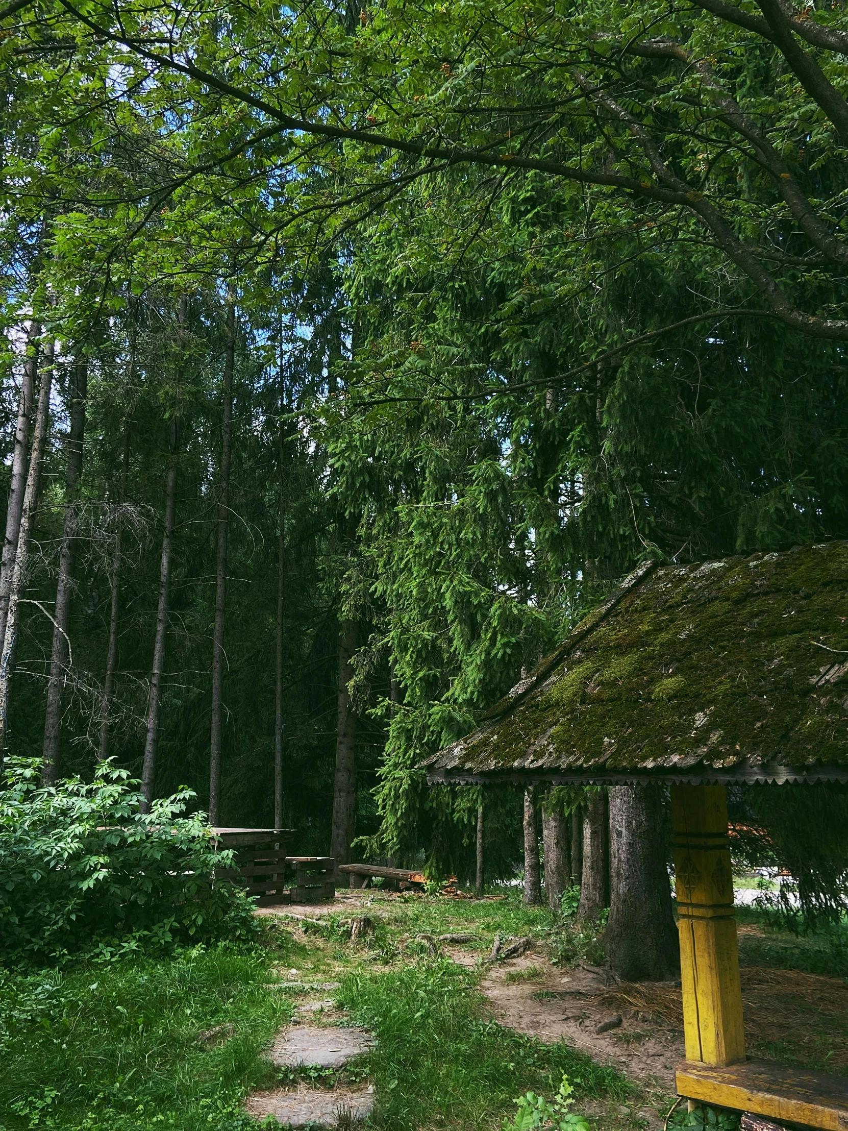 a small cabin in the middle of a forest, inspired by Ivan Shishkin, unsplash, hurufiyya, soviet bus stop, panorama shot, ((forest)), picnic