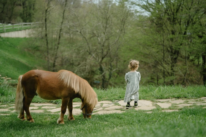 a little girl standing next to a brown horse, overlooking, walking at the garden, jenna barton, owen klatte