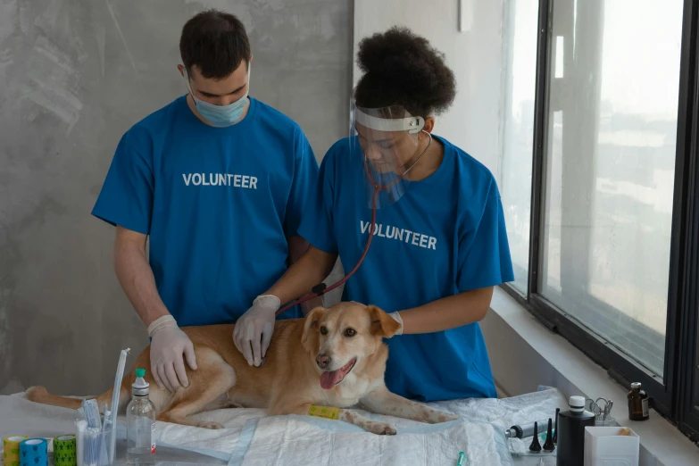 a couple of people standing next to a dog, holding a syringe, on a canva, healthcare worker, wearing a neon blue hoodie