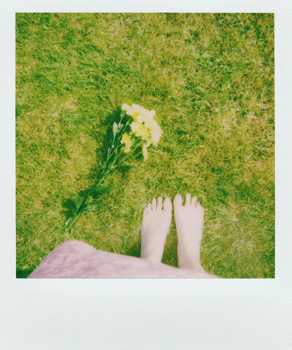 a person standing on top of a lush green field, a polaroid photo, exposed toes, there are flowers, slight yellow hue, photocopy